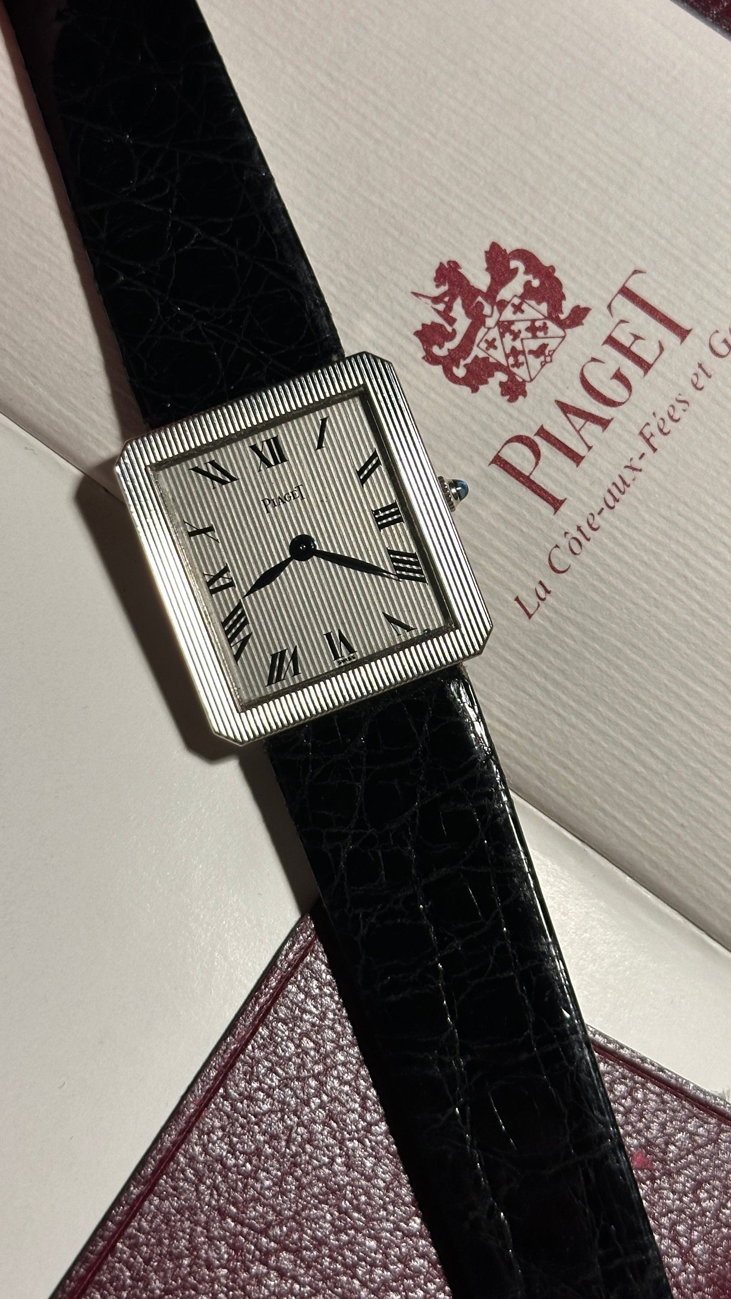 Piaget Protocole 9154