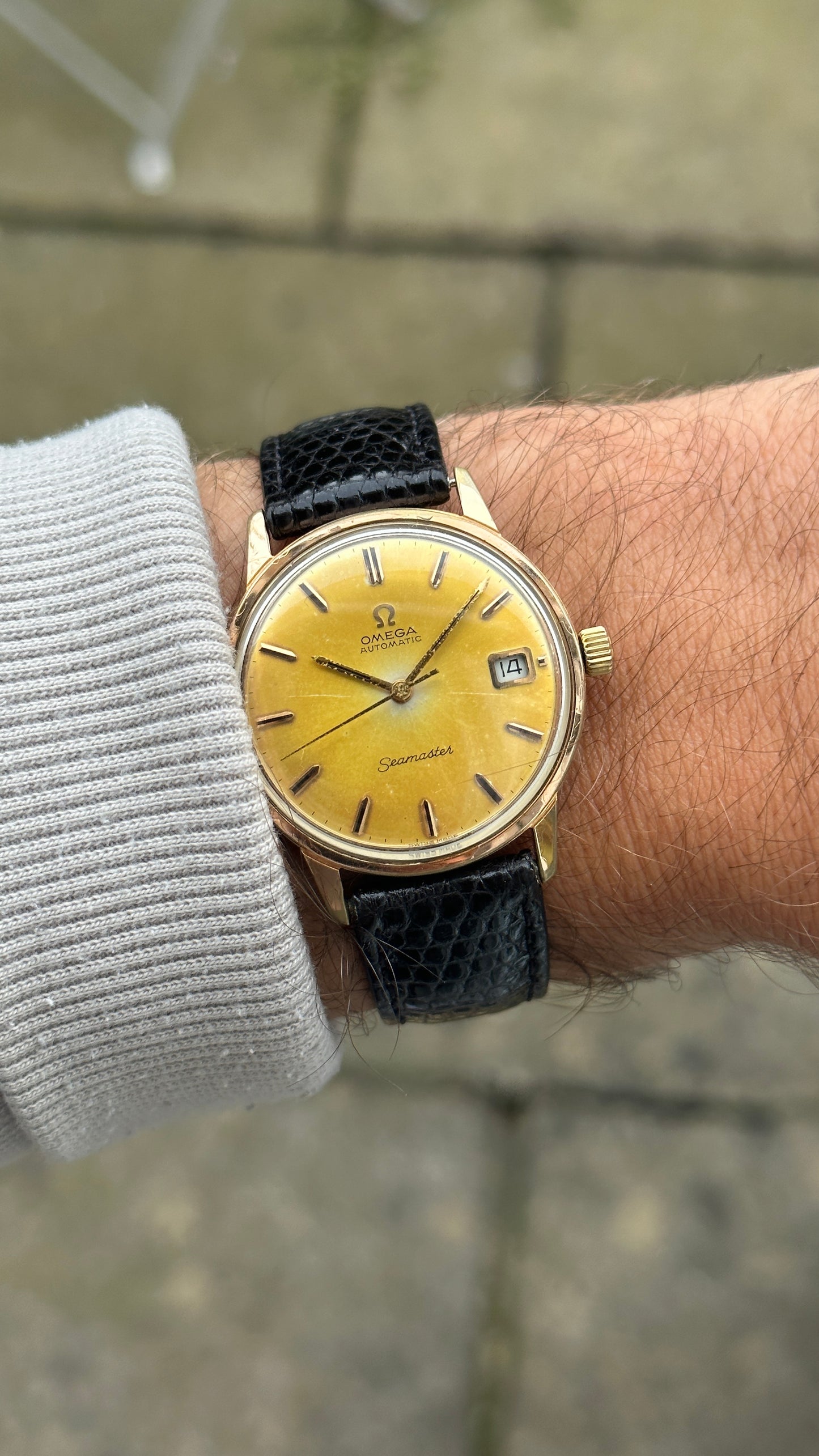 Omega Seamaster Burnt Lemon